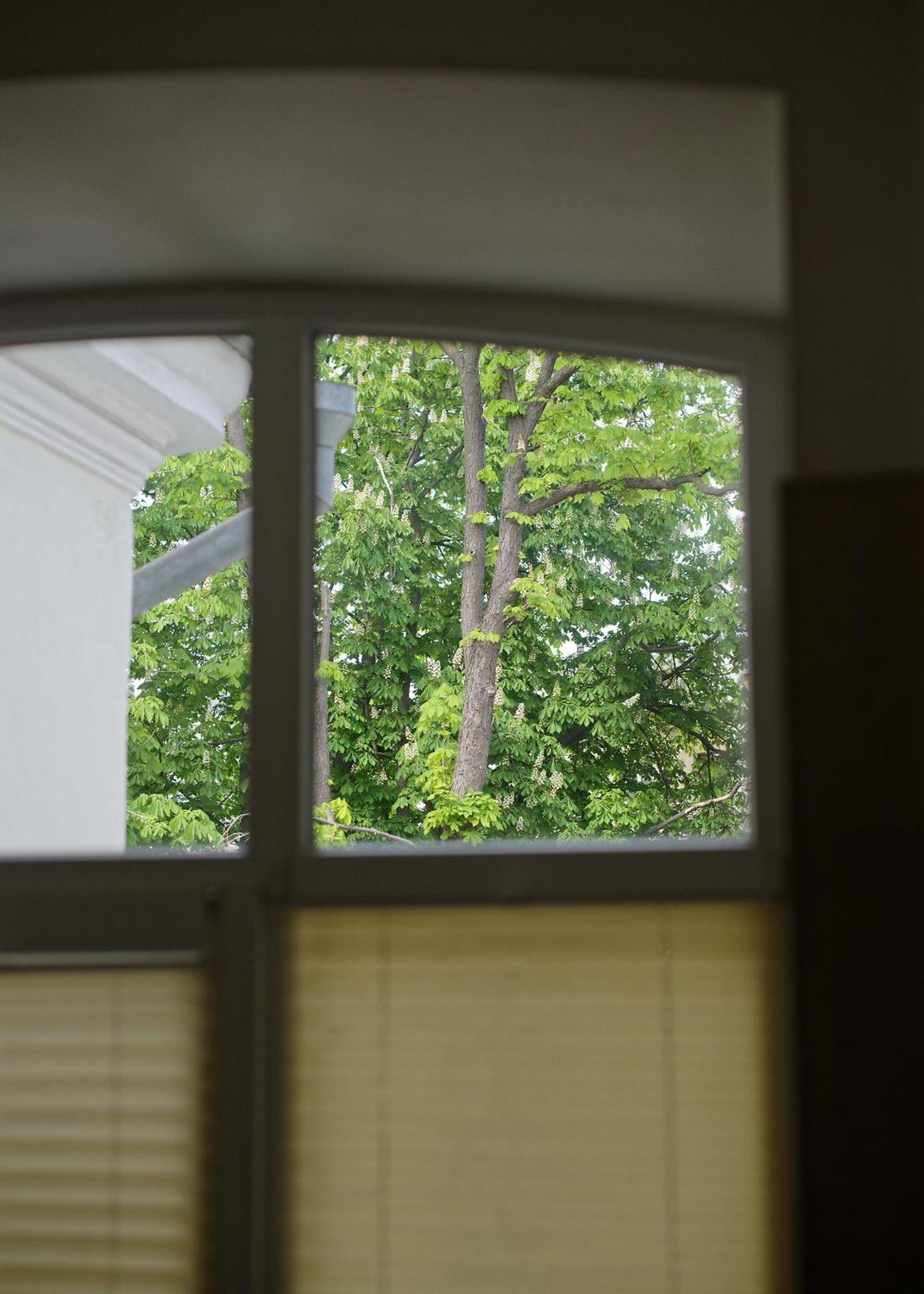 White Door Apartments Heart Of Odessa 1 מראה חיצוני תמונה